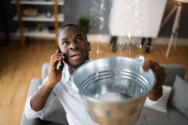Best Basement water damage restoration  in Linganore, MD