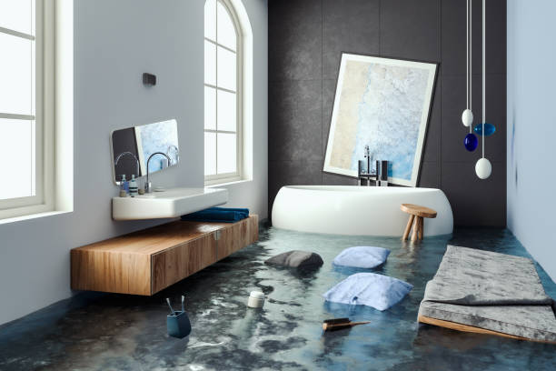 Best 24/7 water damage repair  in Linganore, MD