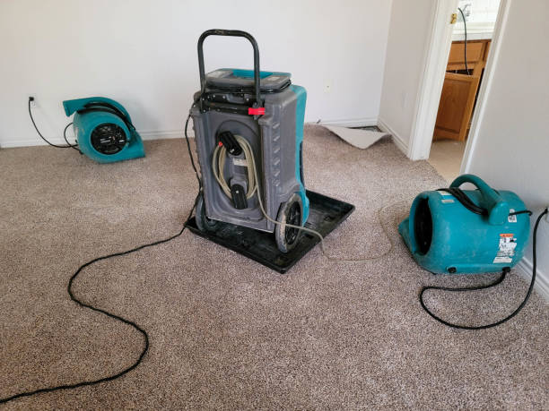 Best Water damage restoration mold remediation  in Linganore, MD
