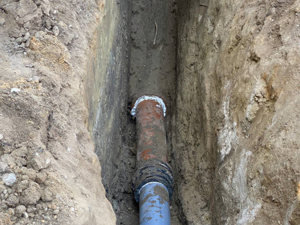 Best Flood restoration services  in Linganore, MD