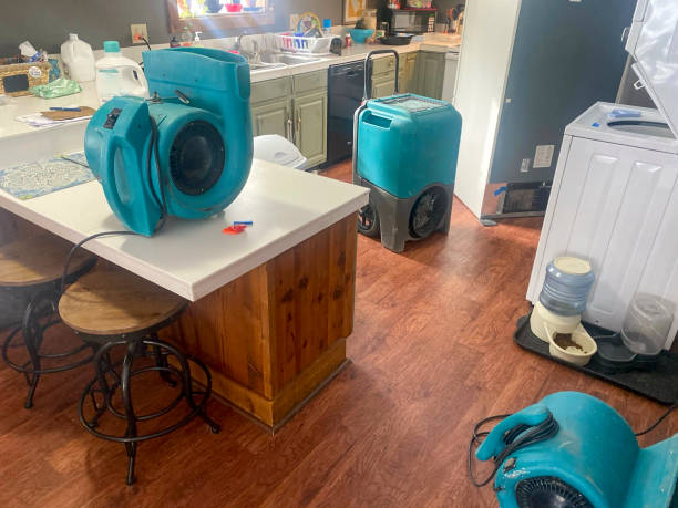 Best Mold removal after water damage  in Linganore, MD