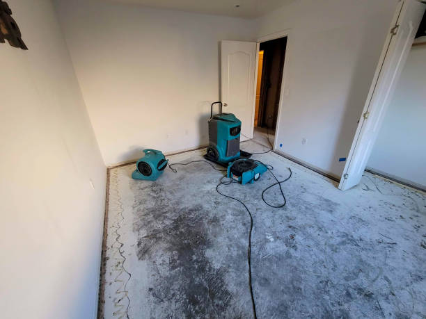 Best Residential water damage restoration  in Linganore, MD