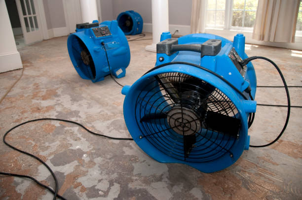 Best Professional water damage repair  in Linganore, MD