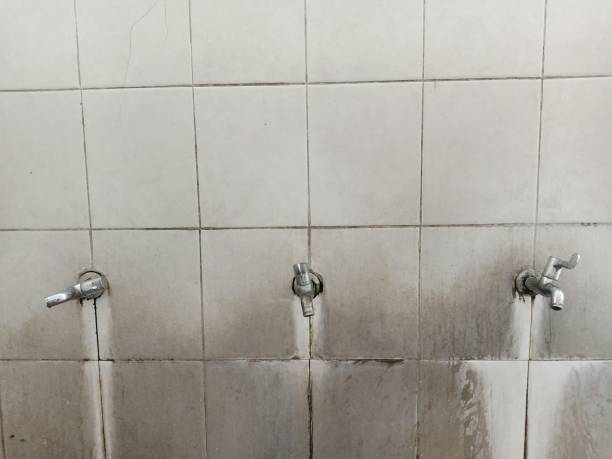 Water damage restoration mold remediation in Linganore, MD