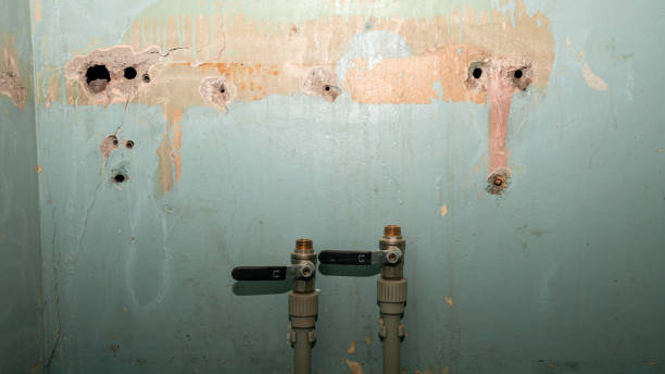 Best Fire Damage Restoration  in Linganore, MD
