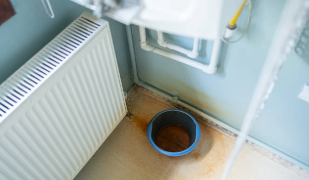 Best Professional water damage repair  in Linganore, MD