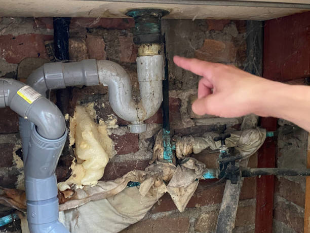 Best Local water damage restoration  in Linganore, MD