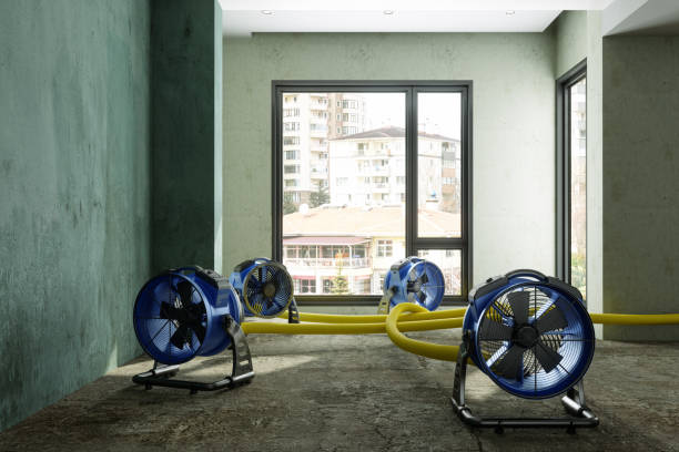 Best Commercial water damage restoration  in Linganore, MD